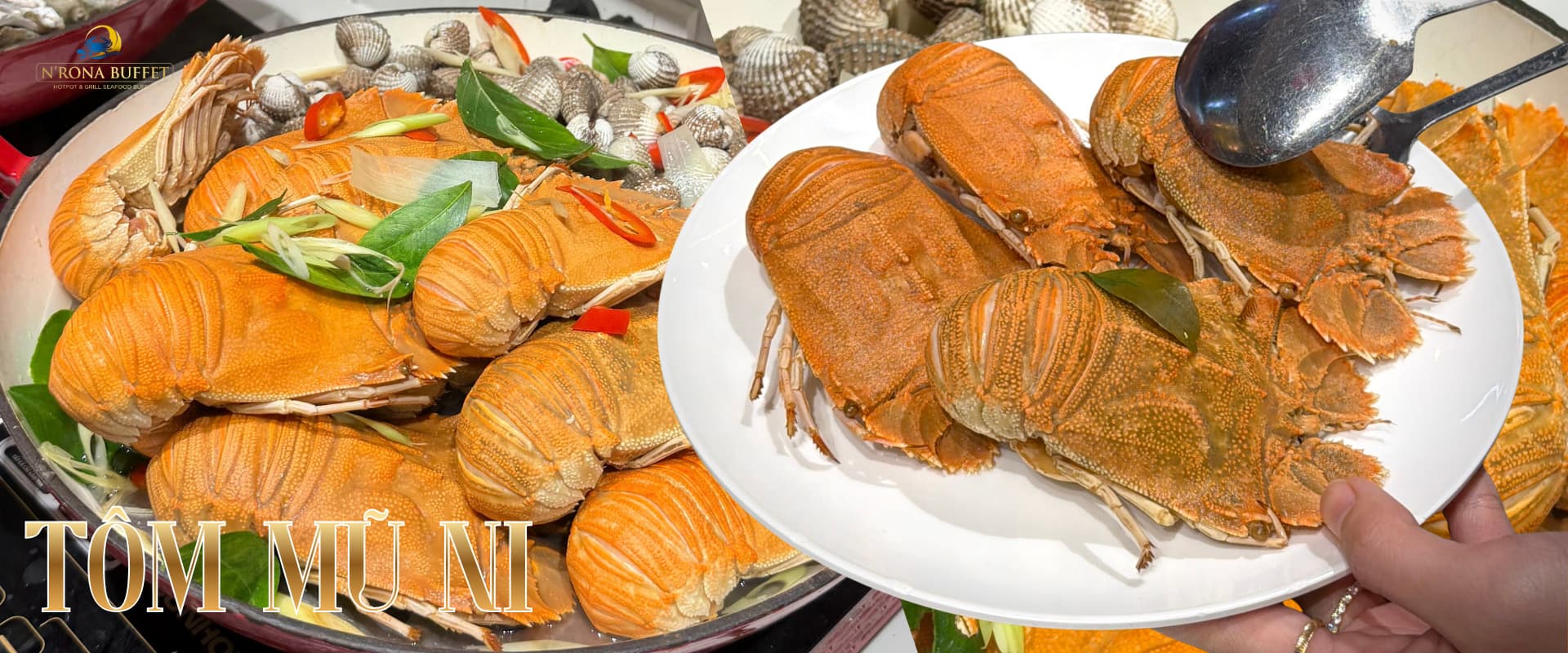 Banner quảng cáo